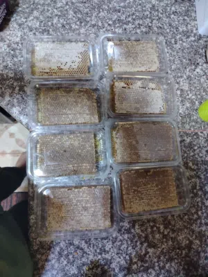 عسل نحل بلدي نخب وحبوب لقاح بلدي