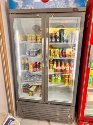 Chiller and fridge for shops