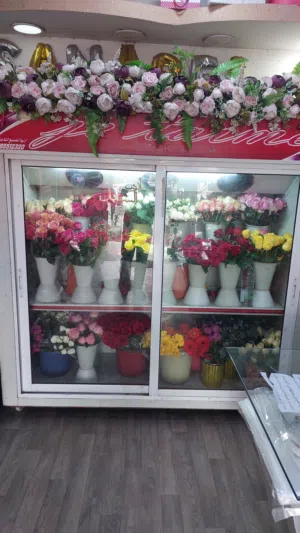 ثلاجة عرض مستعمله للبيع