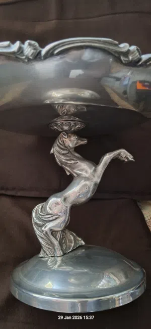 مضيفه فضيه ثقيله