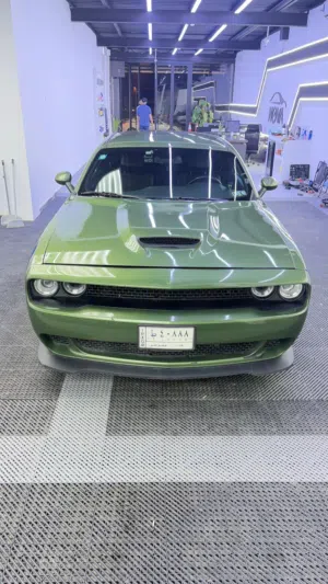 جالنجر 2022