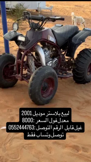 مافيه اي مشتكل