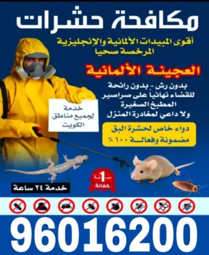 اقوي شركة مكافحة حشرات بلكويت