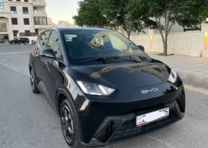 Used BYD Seagull in Amman