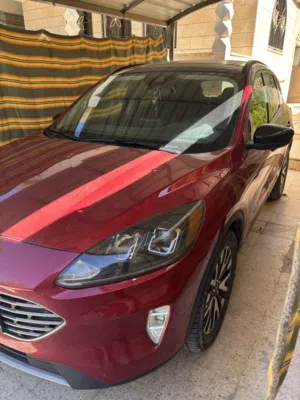 Ford Skip 2020 SE