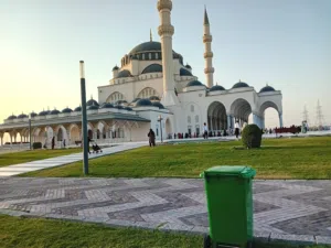 muhammad rizwan 