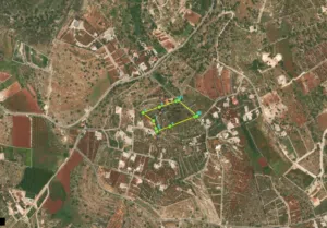 Farm Land for Sale in Salt Other