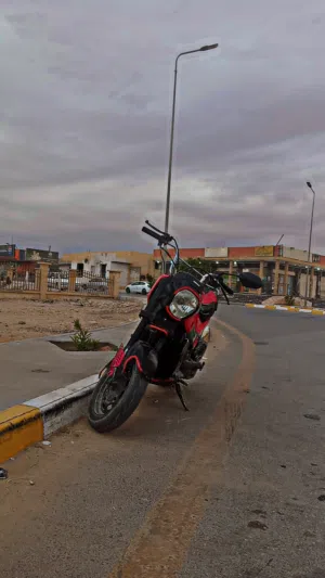 هوندا نافي موديل 2020 قوه 125