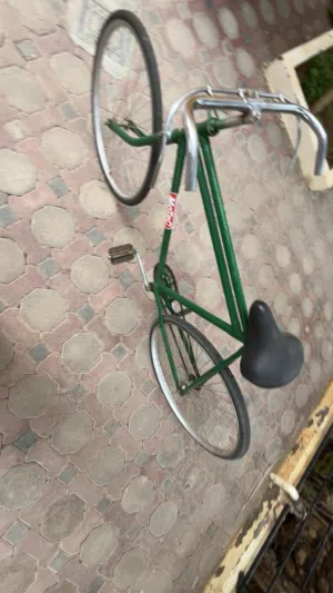 سيكل للبيع