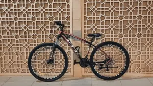 Used Men's Mountain Bike, Good condition