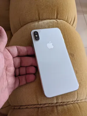 iPhone X silver