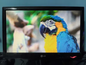 18.5 LG monitors for sale  in Alexandria