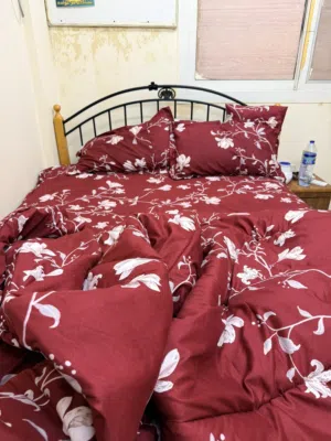 Medium Size Double Bed with Bedsheet and Pillow