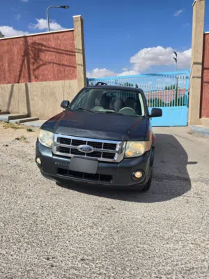 Used Ford Escape in Jerash
