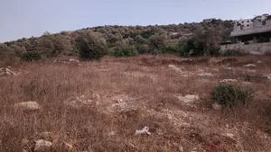 ‏الاستخدام المتعدد ‏.‏ 950 م٢ ‏.‏ المالك‏2