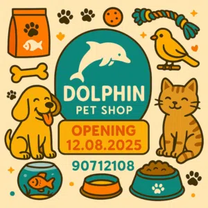 Dolphin pets oman 