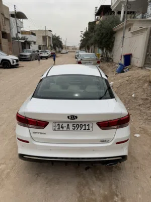 اوبتيما 2019 خليجي