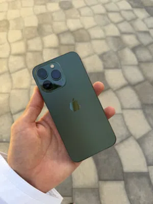 Apple iPhone 13 Pro 256 GB in Muscat