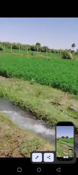 Farm Land for Sale in Khartoum Omdurman