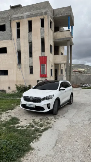 وسيم ملالحه 