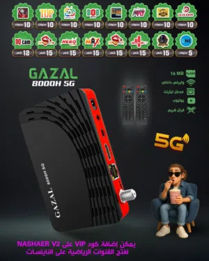 غزال 8000 اشتراك 10 سنوات مدخل ايثرنت