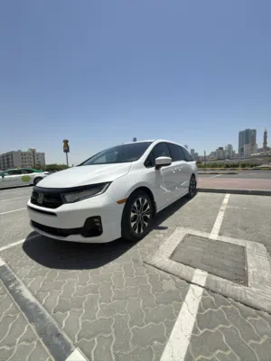 هوندا اوديسي 2025 USA