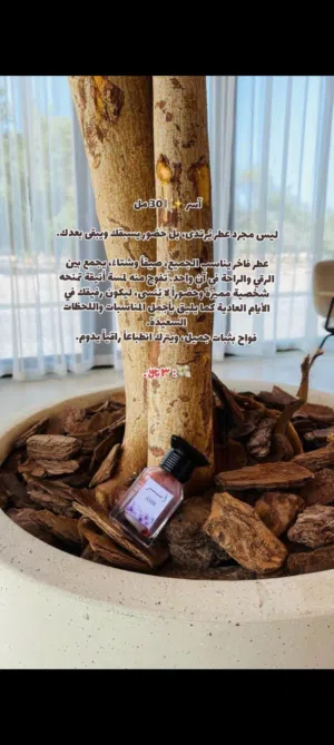 مخمرية سكره الفرمونيه وعطر آسر  روائح انثويه بحت ريحه مختلفه مميزه صيفيه