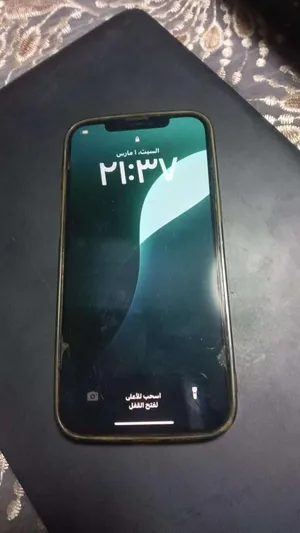 12-pro-max