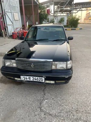 ارنب كراون اسود