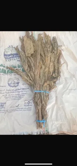 كبات غليون للبيع
