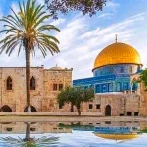 أحمد محمد شحادة