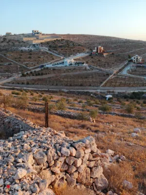 Farm Land for Sale in Mafraq Dahl