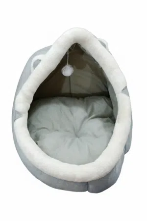 بيوت حيوانات قطط كلاب