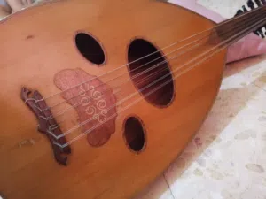 عود زرياب للبيع