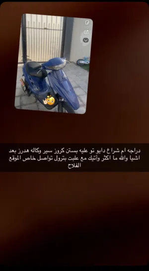 ام شراع دايو تو للبيع