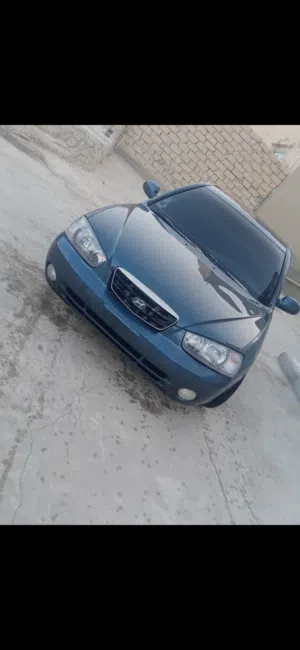الياس عادل بغني 