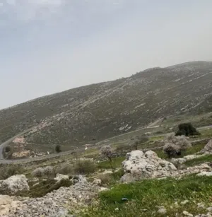 ارض للبيع في بيتين مساحة 2 دونم