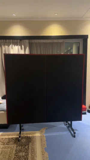 Table tennis