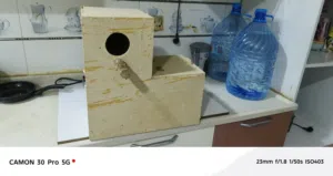 ابيت دكاذر البيع