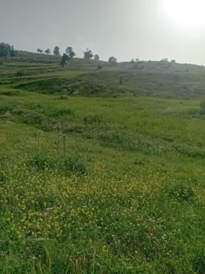 Mixed Use Land for Sale in Jerash Al-Mastaba