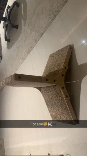 ألعاب قطط الاليفه