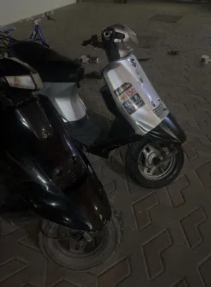 دراج  100سيسي