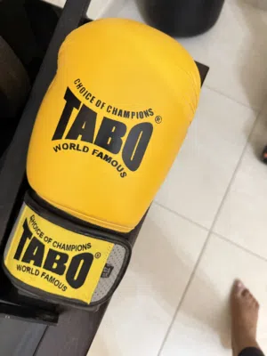 Brand new punching bag with gloves