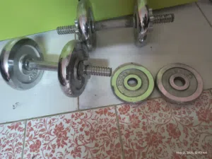 gyms equipment
