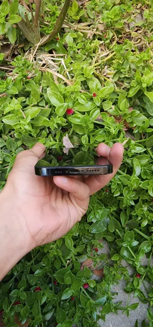 iphone 13 pro 256gb للبدل ب s22 ultra او s23 ultra او للبيع