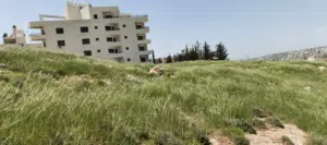 Residential Land for Sale in Amman Marj El Hamam