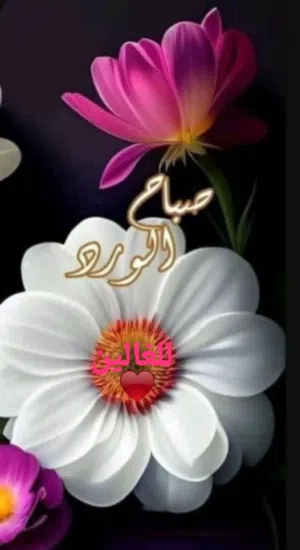 ولید حاشوش 