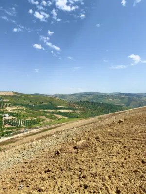 Farm Land for Sale in Jerash Al-Majdal