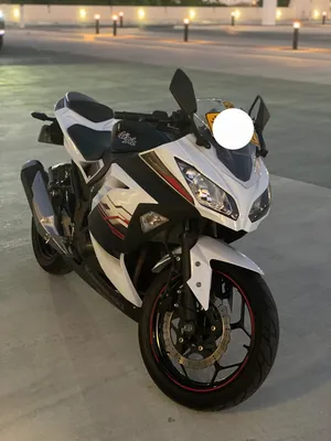 NINJA 300 ABS