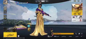 Pubg Accounts and Characters for Sale in Amman